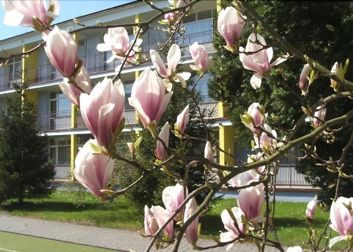 Apartment Verano, Sun & Snow